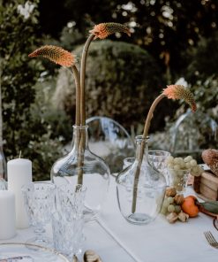 Vasenset, Bottle clear